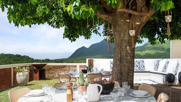 An outdoor dining area with a table set for six, surrounded by wicker chairs, under a large tree with hanging lanterns. A cactus and a potted plant are on the table.