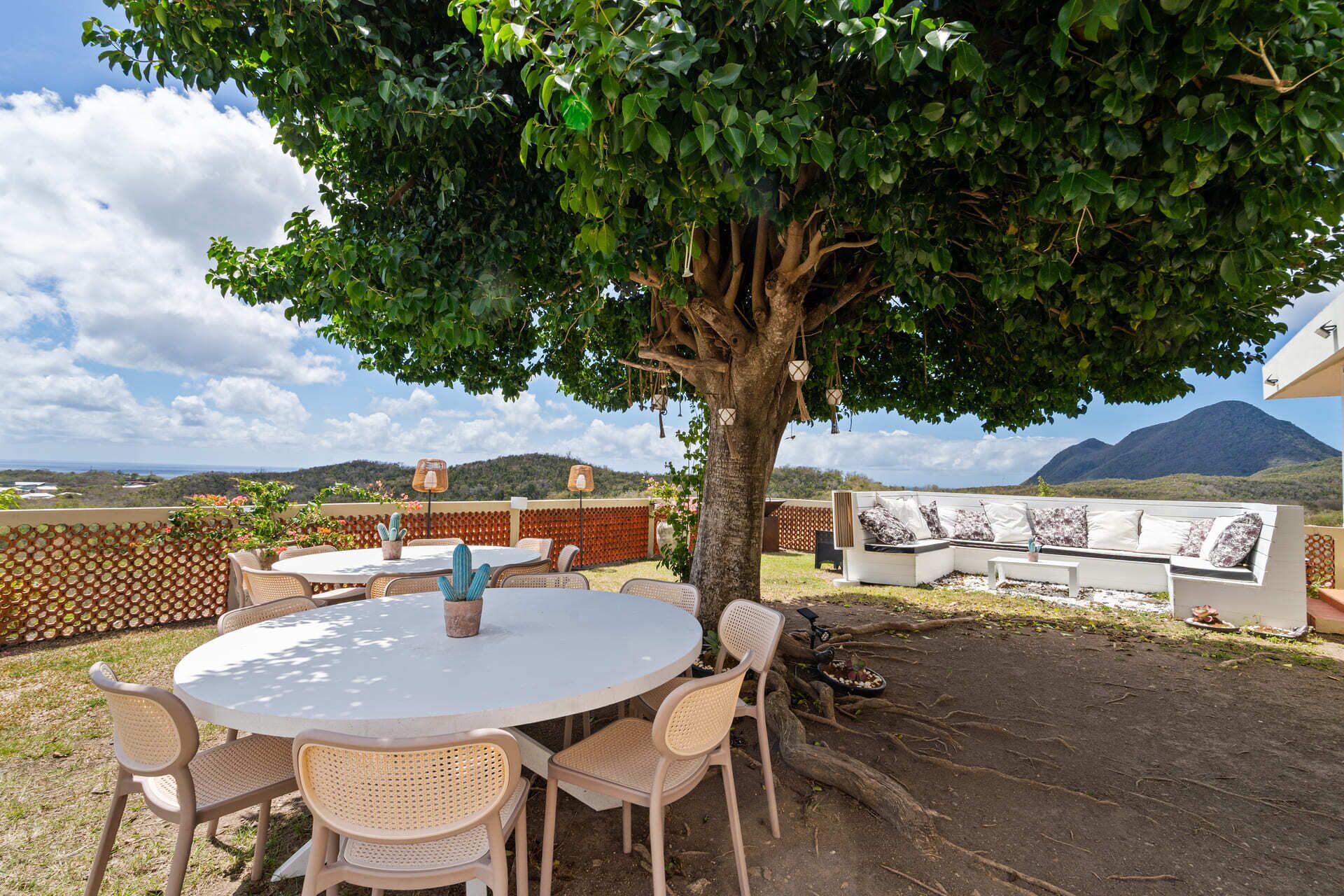 A round table with chairs, a tree, and a sofa set under a large tree.