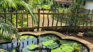 Un jardín con un estanque, abundante vegetación y una valla de madera.
