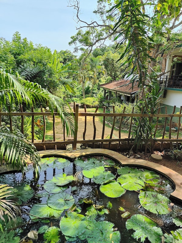Puutarha