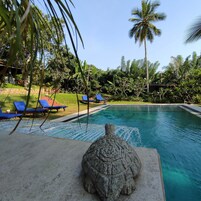 Outdoor pool, sun loungers