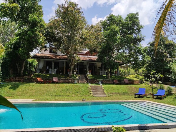 Outdoor pool, sun loungers