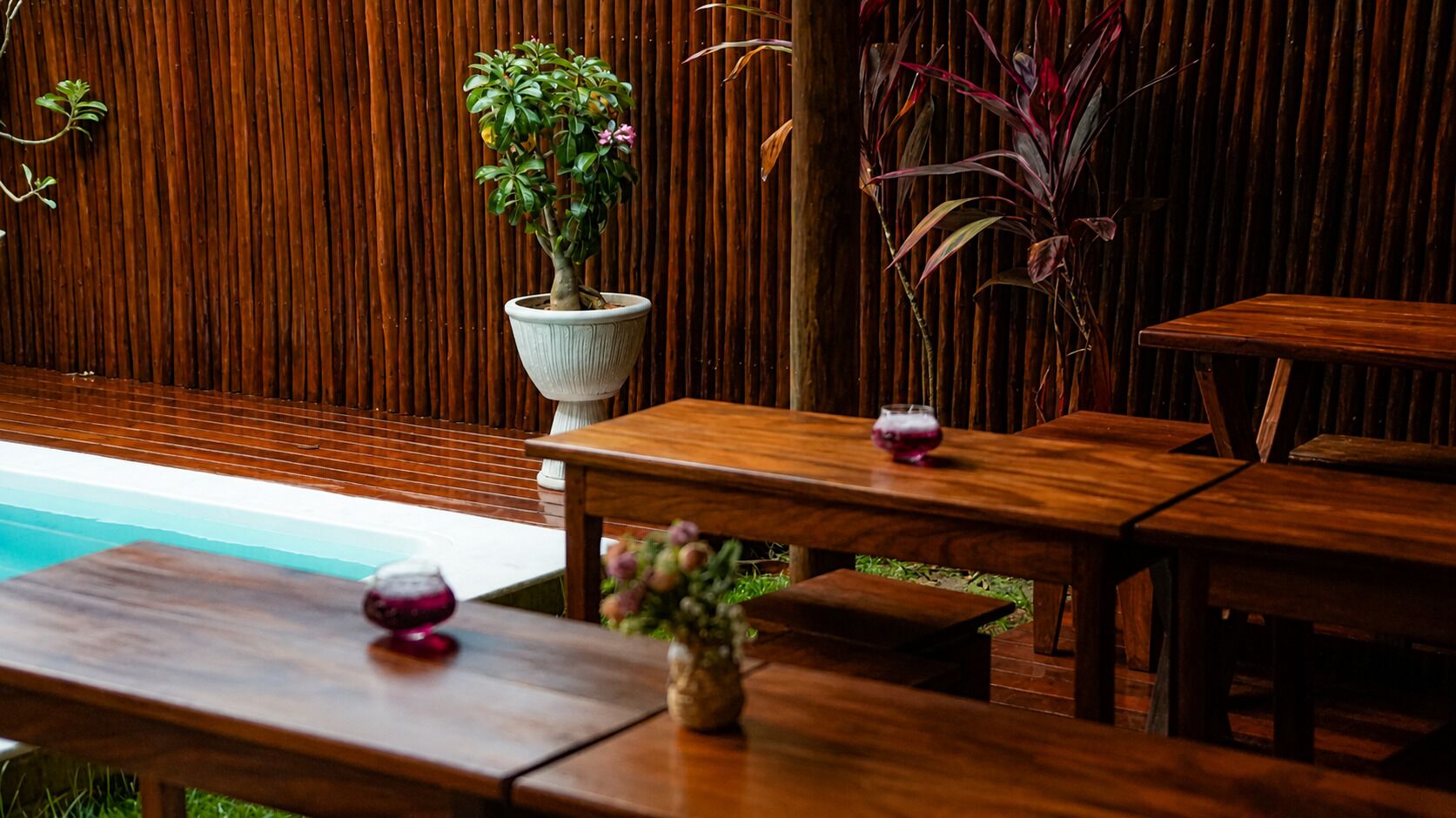 A wooden outdoor seating area with a pool, a potted plant, and a glass of wine.
