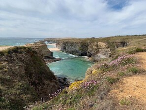 Paisagem costeira com falésias, uma praia e flores silvestres.