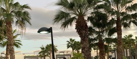 Căn hộ | Ban công