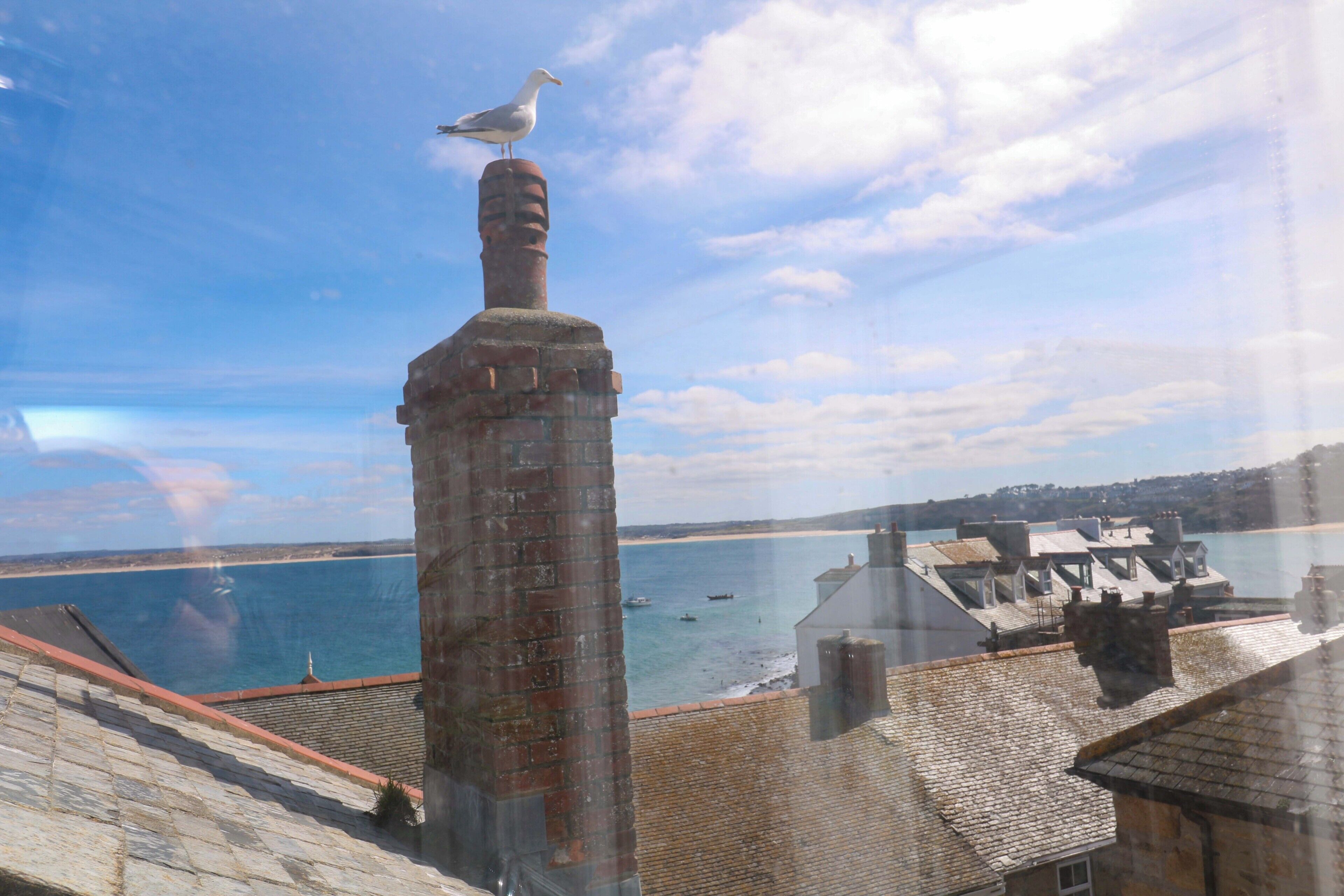 A brick chimney with a seagull perched on top, overlooking a coastal area with buildings and a body of water.