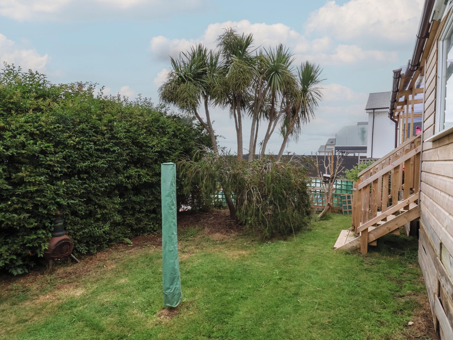 Ein Garten mit einer Holzdielen-Terrasse, einer grünen Metallkonstruktion und verschiedenen Pflanzen, darunter Palmen und ein Hecken.