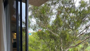 A balcony with a table and two chairs, a potted plant, and a view of trees and buildings. - Charming, elegant cozy 1-bedroom condo in amazing Tijuana with AC main Blvd SAFE (Tijuana)