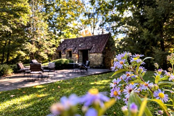 Uklassifisert bilde, 1 av 11, knapp