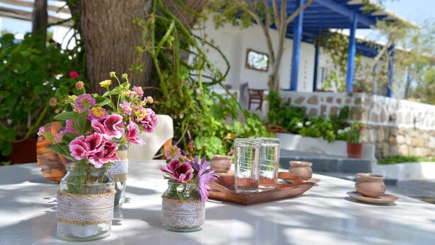 A table with glass jars containing flowers, a wooden tray with pottery, and a blue-roofed building in the background.