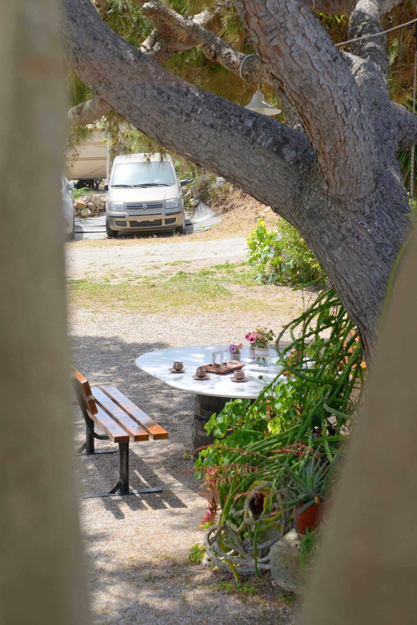A table set outdoors with a bench nearby, surrounded by potted plants and a tree trunk.