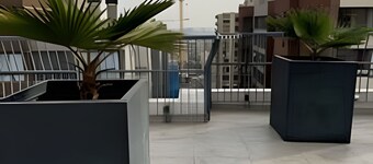 Collection R 3 San Martin