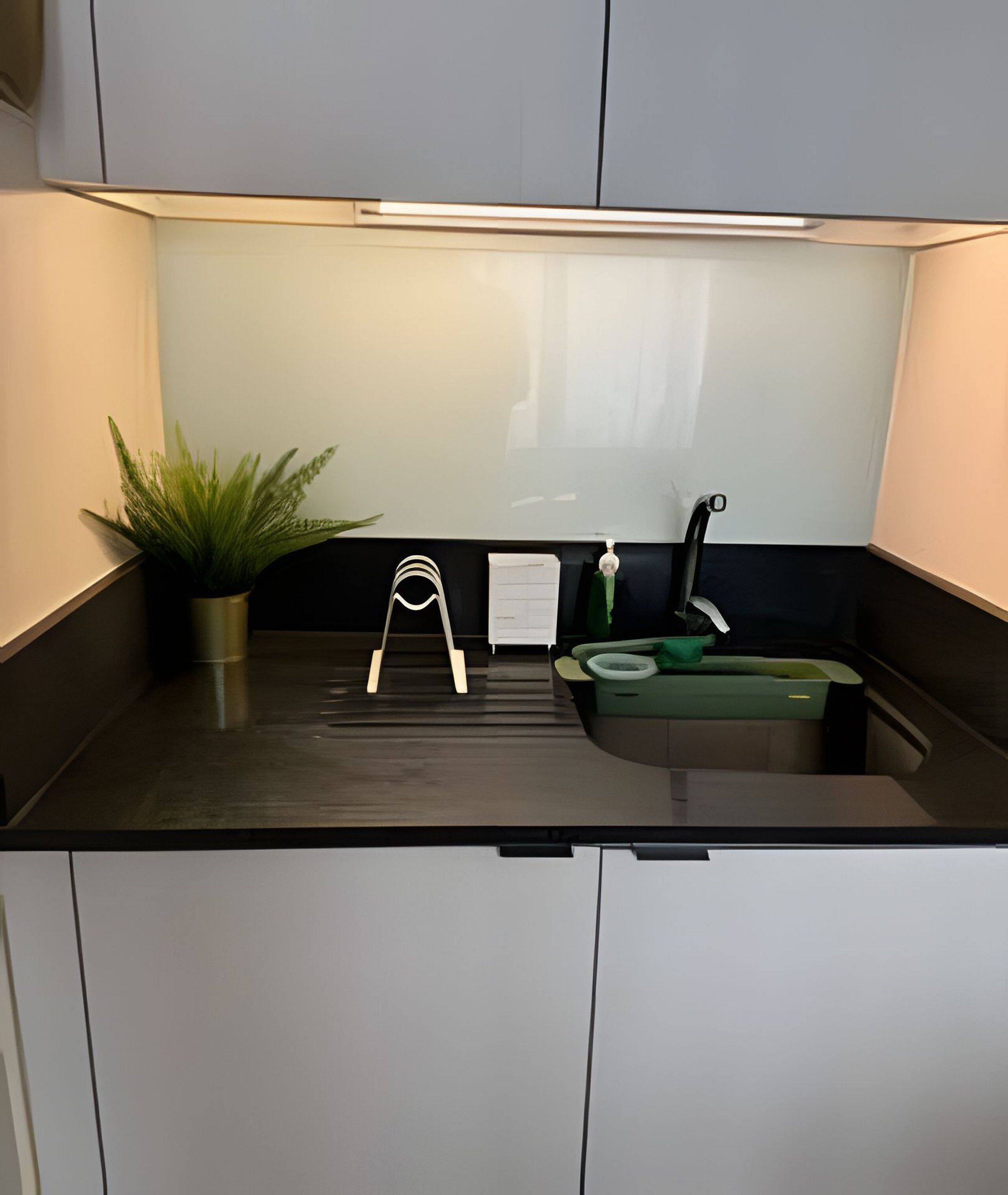 Une cuisine compacte avec un plan de travail noir, une plante en pot, un étendoir et un évier vert.