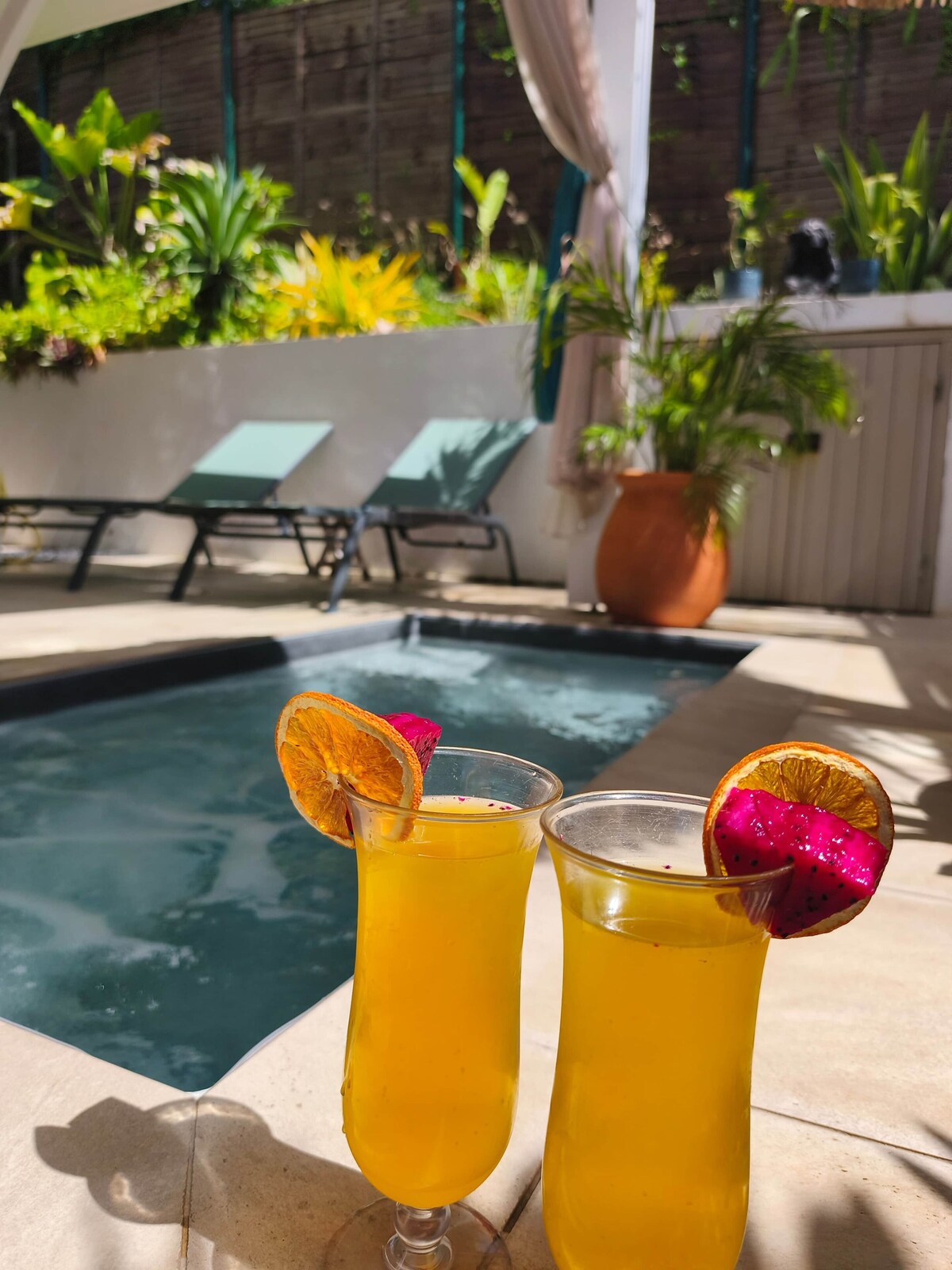 Image de profil de l’hôte