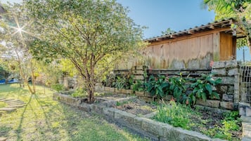 Basic Villa | Property grounds