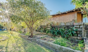 Basic Villa | Property grounds