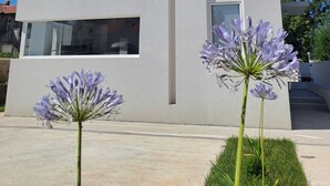 A modern two-story building with large windows and a flat roof. - Modern villa with a private pool (Bogišići)