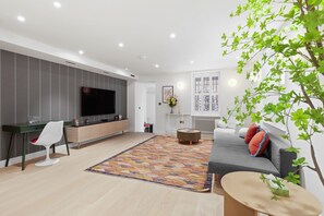 TV - 1 Bed Basement Flat in London (Greater London)