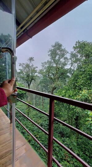 Property grounds - Tranquil Glass House  By Coorg Tree House (madikeri)