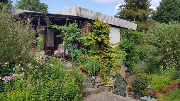 A rustic garden with a wooden structure, a stone wall, and a variety of plants and flowers.