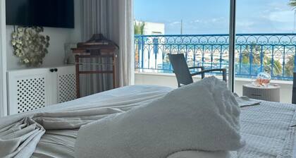 Luxury villa in Sidi Bou Saïd, sea view, walking distance to beach, terrace, jacuzzi,