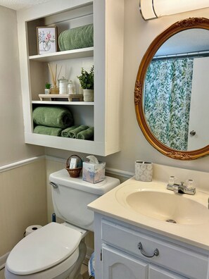 Hair dryer, towels, soap, shampoo