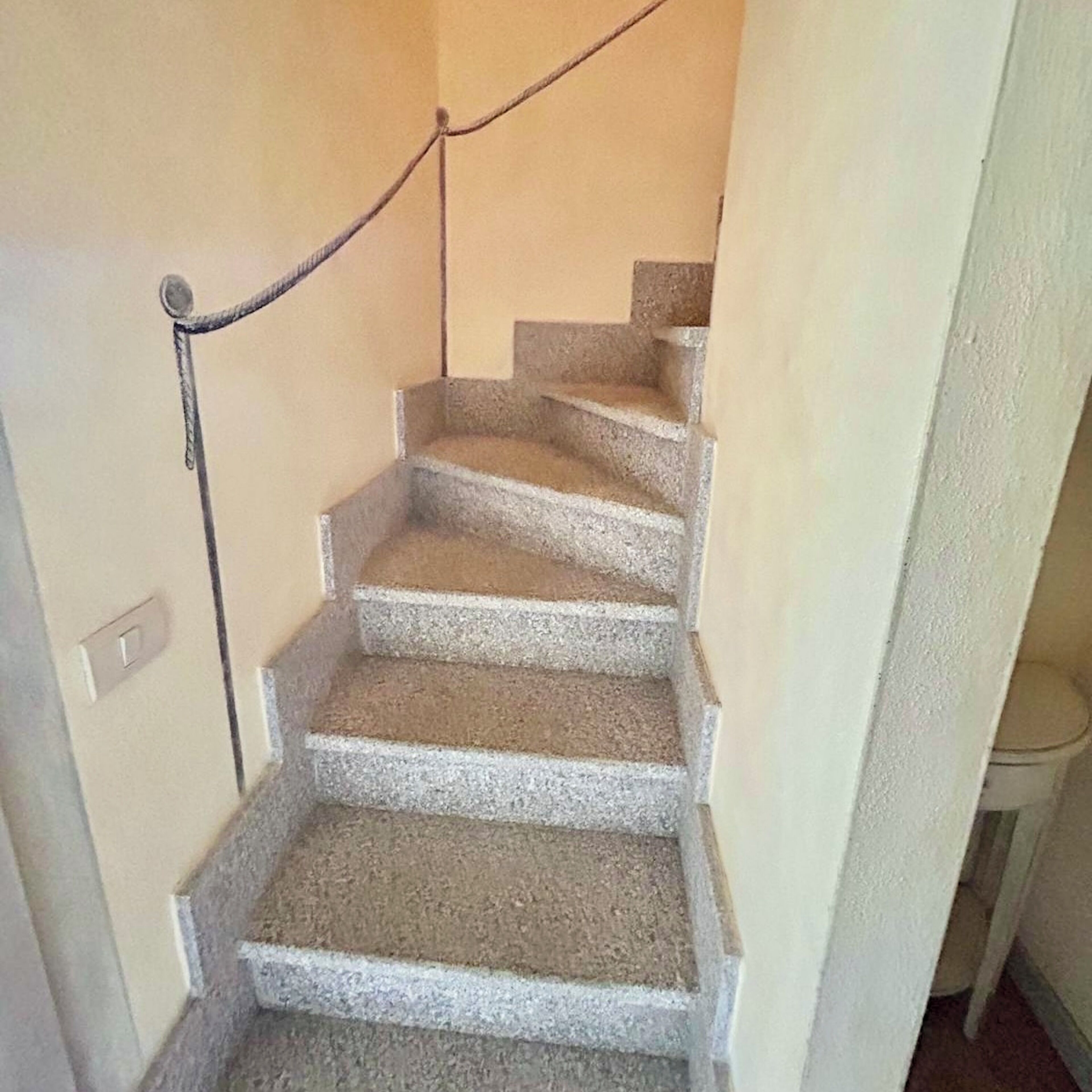 A staircase with a handrail, carpeted steps, and a light switch on the wall.