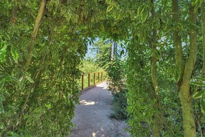 Unclassified image, 4 of 67, button