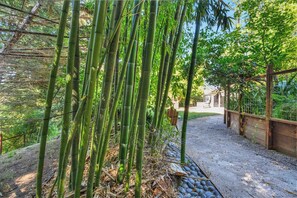 Unclassified image, 5 of 67, button