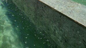 Een zwembad met helder water, omringd door gebouwen.