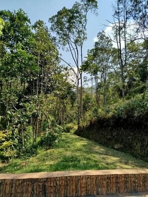 Àrea exterior de l'allotjament