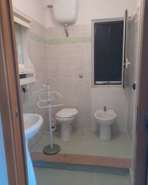 Ducha, secador de pelo, bidé y toallas