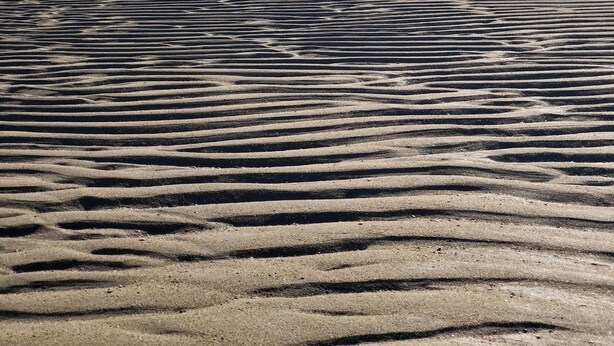 A beach with a sandy shoreline and a calm sea. - At the foot of the dunes and the beach! Ideal for a quiet place (Barbâtre)
