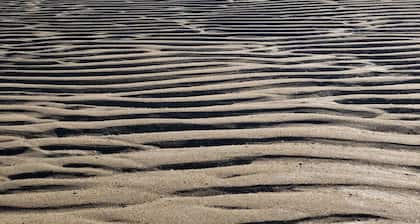 At the foot of the dunes and the beach! Ideal for a quiet place