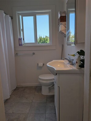 Hair dryer, towels, soap, toilet paper