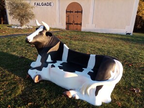 Terrain de l’hébergement 