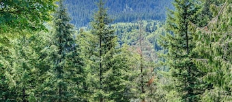 2-Bedroom Mt. Hood Condo w/ Pool Access