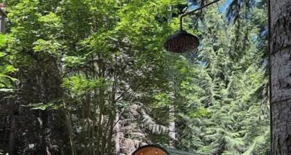 Rocky Creek Retreat, in otter point