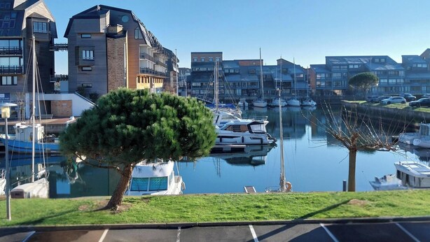 Un puerto deportivo con barcos amarrados, un árbol en primer plano y edificios modernos al fondo.