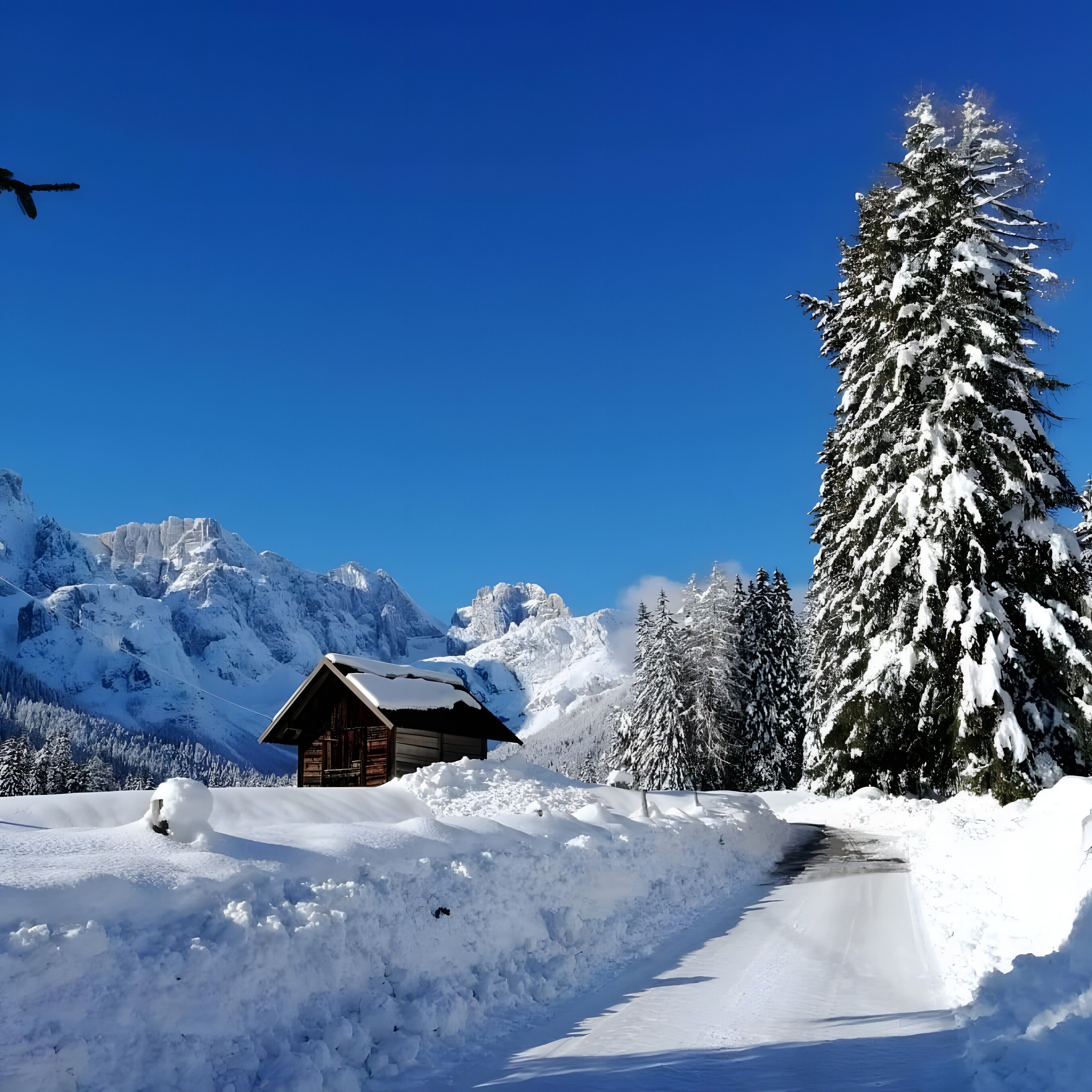 Uma cabana de madeira rodeada por montanhas cobertas de neve e uma árvore conífera alta.