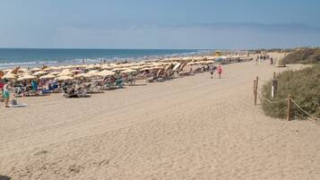 Playa en los alrededores