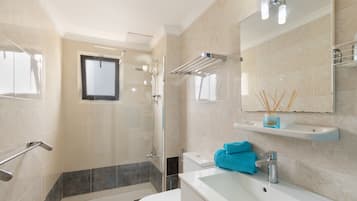 Shower, hair dryer, towels