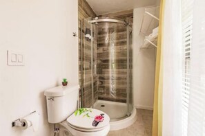 Hair dryer, towels, soap, shampoo
