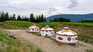 Three yurts in a rural setting with a vineyard in the background. - Glamping at vinyard (Tappen)