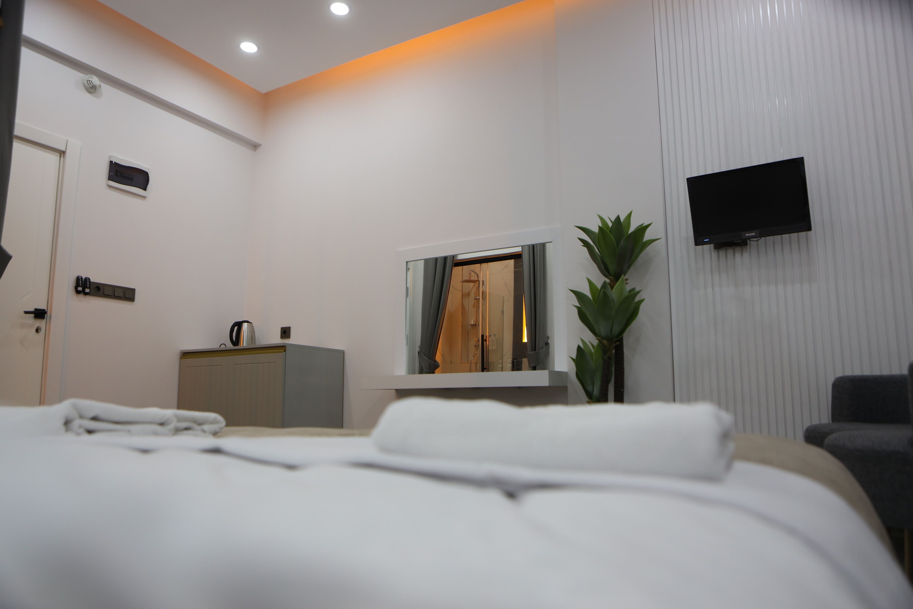 A modern hotel room with a neatly made bed, a flat-screen TV mounted on the wall, a mirror above the bed, and a potted plant.