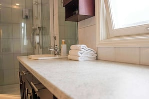 Shower, hair dryer, towels