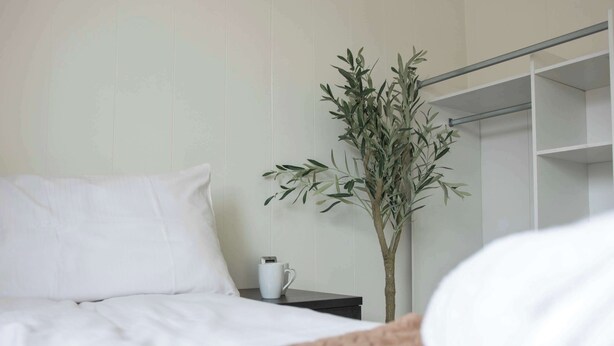 A hotel room with a bed, a nightstand, a white mug, and a potted plant. - Cozy Tromsø Apartment Near City Center (Tromsø)