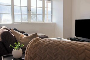 Fernseher, Arbeitsbereiche