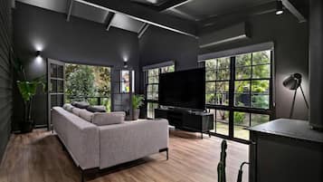 Smart TV, fireplace, books