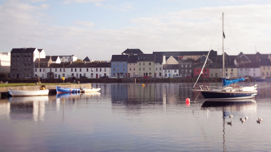 The Herons Rest Townhouse B&B